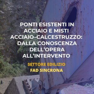 Ponti esistenti in acciaio e misti acciaio–calcestruzzo: dalla conoscenza dell’opera all’intervento