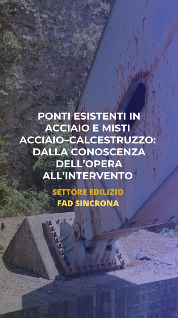 Ponti esistenti in acciaio e misti acciaio–calcestruzzo: dalla conoscenza dell’opera all’intervento